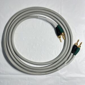 Monster Cable M Series Speaker Cables MCX-2S 10 ft - 1 Cable - READ DESCRIPTION